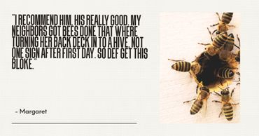 Bees entering a hive hole, paired with a positive testimonial about effective bee removal services.