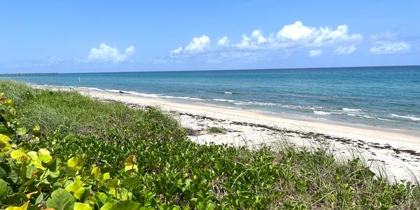 Dorchester, Palm Beach, 3250 S Ocean Blvd., view of beach