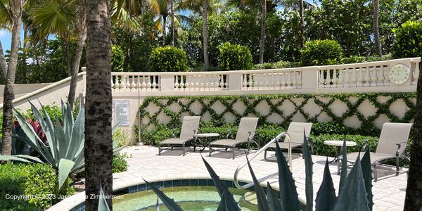 Spa area with lush foliage and loungers at Bellaria, Palm Beach