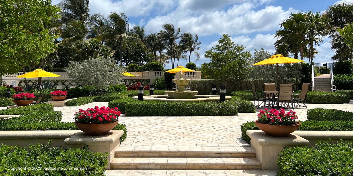 Bellaria gardens on pool deck, 3000 S Ocean Blvd., Palm Beach, yellow umbrellas, red flowers