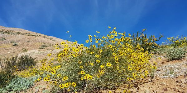 Sustainable mining development