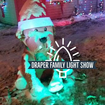 Snow Covered Dog Decoration