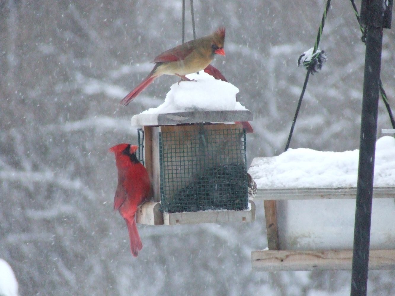 image1033
