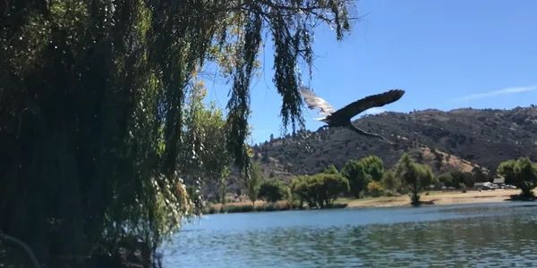 Tehachapi, CA Real Estate Homes for Sale, Bear Valley Springs