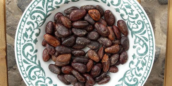 fèves de cacao sacré crues du Guatemala