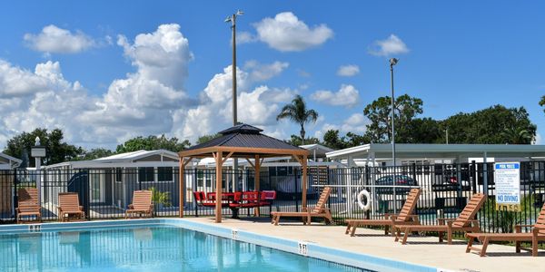 Scenic swimming pool surrounded by palm trees and lounge chairs on a sunny day