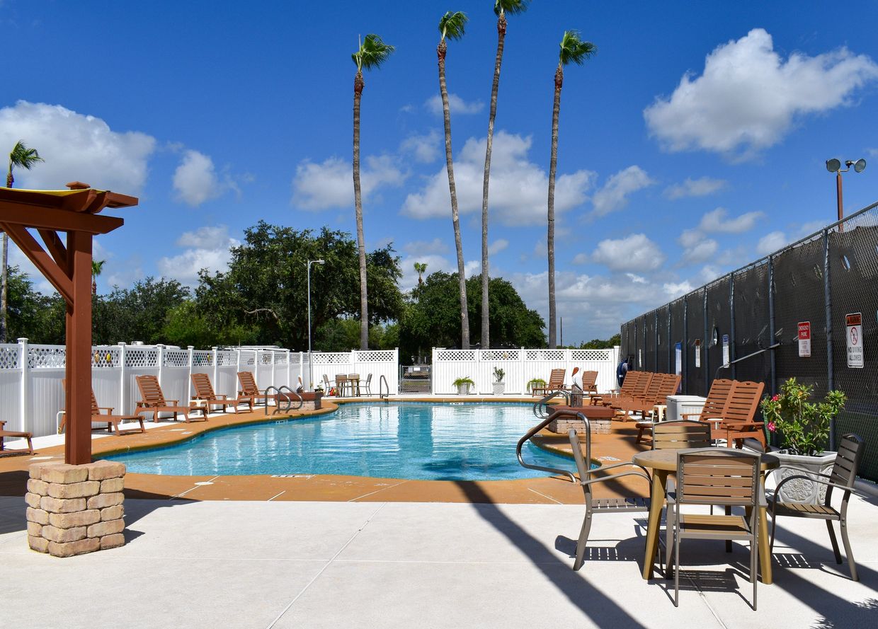 Outdoor swimming pool with lounge chairs, palm trees, and sunny blue sky.