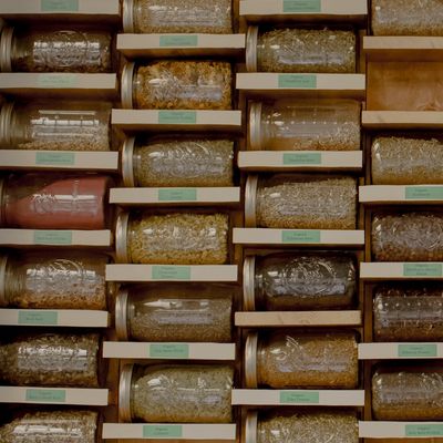 A variety of organic herbs and teas displayed in jars and bags on wooden shelves.
