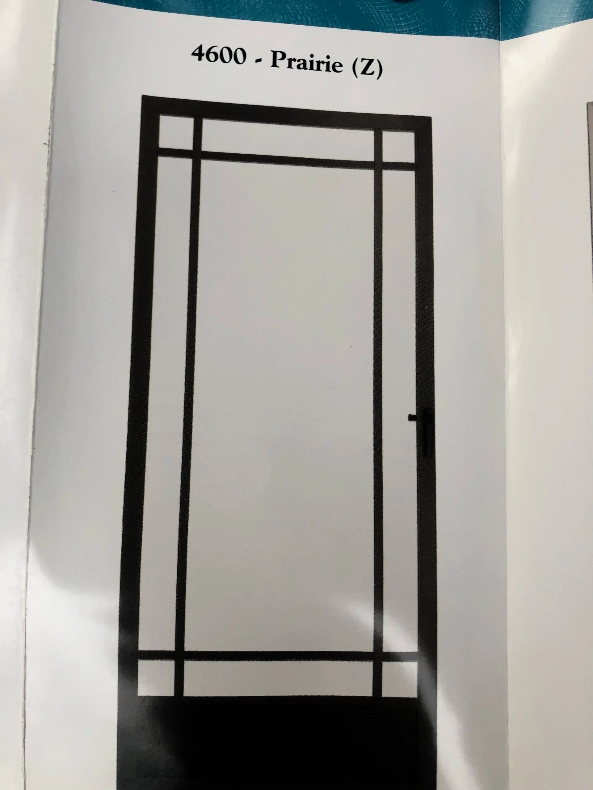 Different styles of the screen doors. I can show you the catalogue during your free estimate!