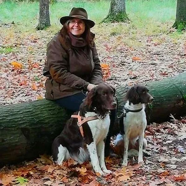 Woman in autumn forest with two dogs sitting on fallen leaves.