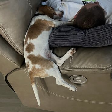 King wants to share the pillow