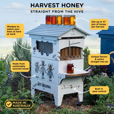 Flow high tech simple direct to jar harvest bee hives