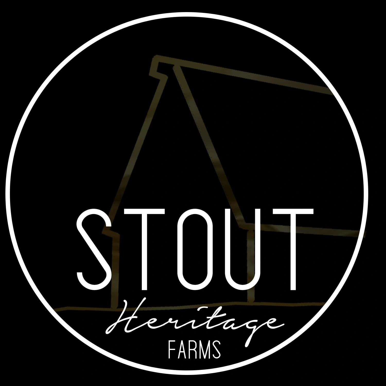 Stout Heritage Farms Iowa black and gold logo with family farm barn that was built in 1912  outline