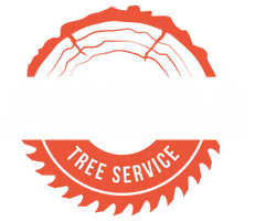 PINEDA TREE SERVICE