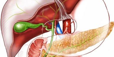 gallbladder removal surgeon near me
pancreas doctor near me