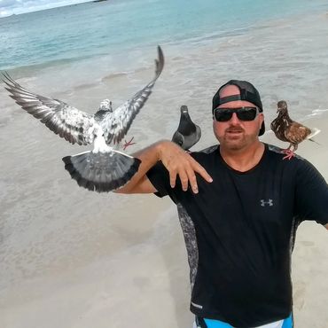 Black & White Pigeon landing on the Birdman