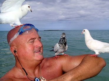 White doves going for a swim with Kailua Birdman