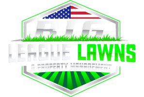 Big League Lawns & Property Management