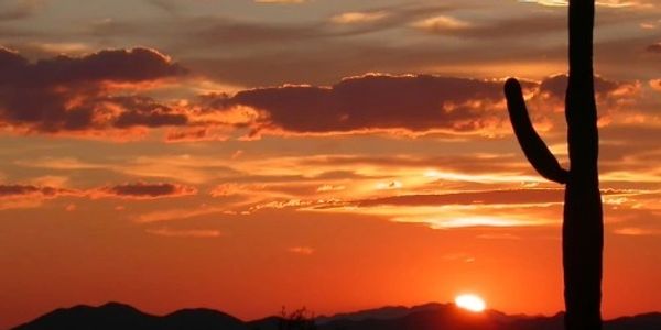 Sunset in the desert with a silhouetted cactus and vibrant orange sky.