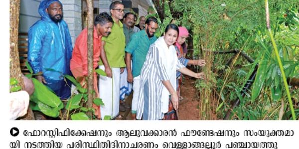 A group of people participating in a tree planting event outdoors.