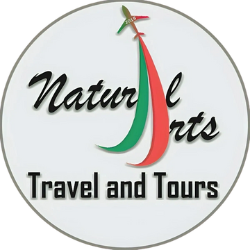 Logo for Natural Arts Travel and Tours featuring a stylized airplane.