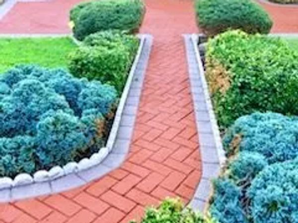 A red brick pathway bordered by neatly trimmed green and blue bushes.