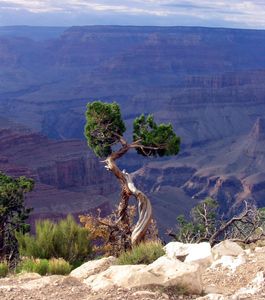 sharing how hearts have been changed, growth has happened