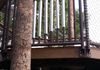 Phoenician treehouse Chimes