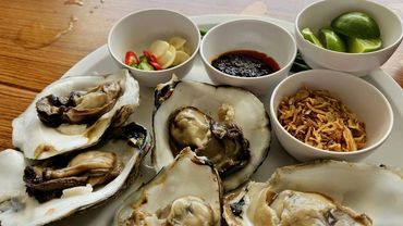 every detail crafted for flavour and discovery