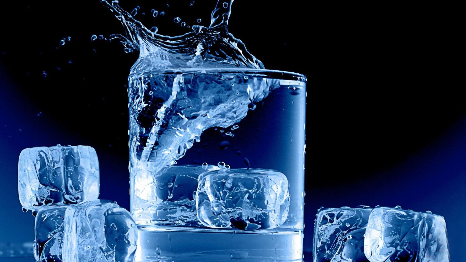 Exclusive Glassware And Crockery
Stay Tuned to Find More