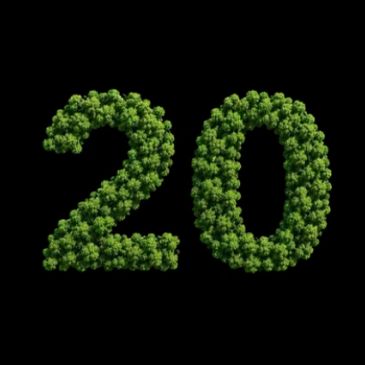 Número 20 hecho de pequeños árboles verdes.