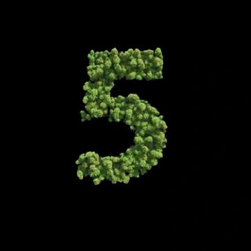 Número 5 hecho de árboles verdes.