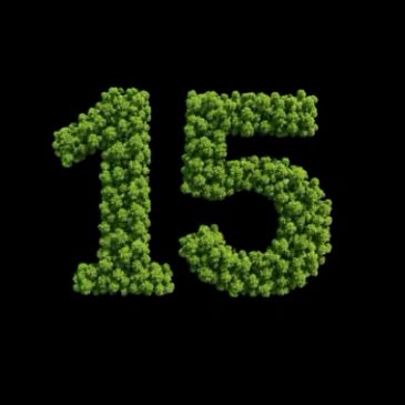 Número 15 formado por árboles.