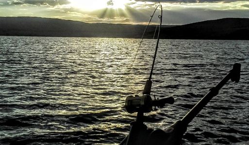 Downrigger for depth control