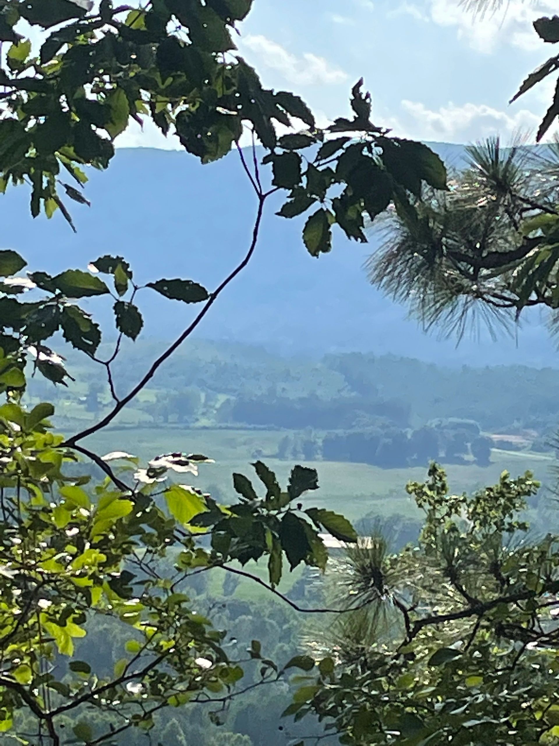 Cheaha Hideaway LLC