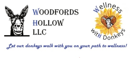 Woodfords Hollow LLC