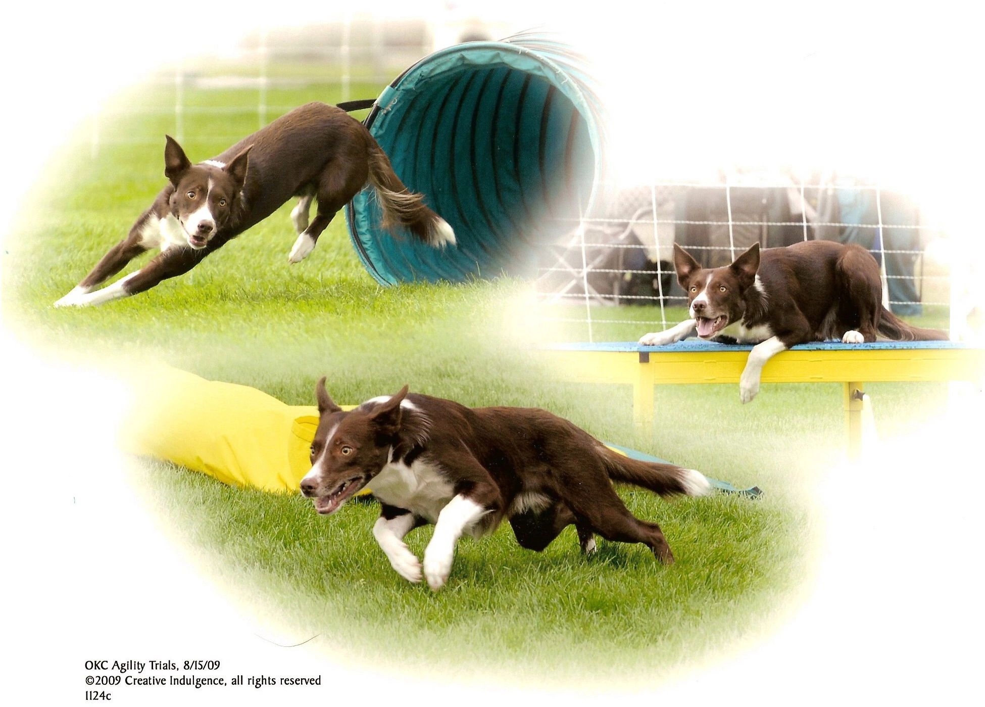 Image of Jef Blake's Klepto