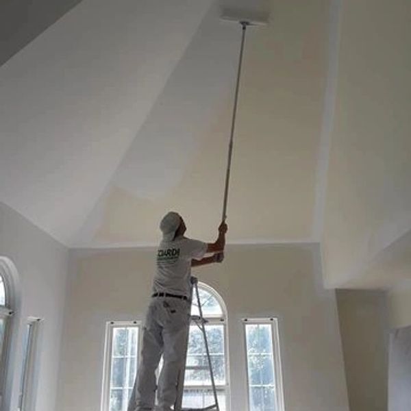 interior painter
paint high ceilings
professional painter