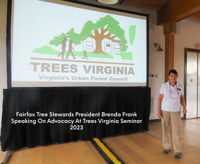 Fairfax Tree Steward President Brenda Frank speaking on advocacy at the Trees Virginia seminar in Fr