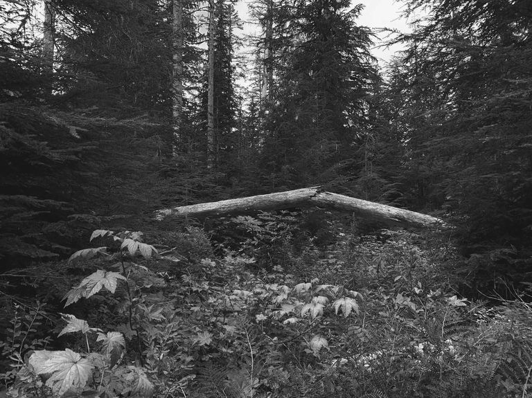 image18