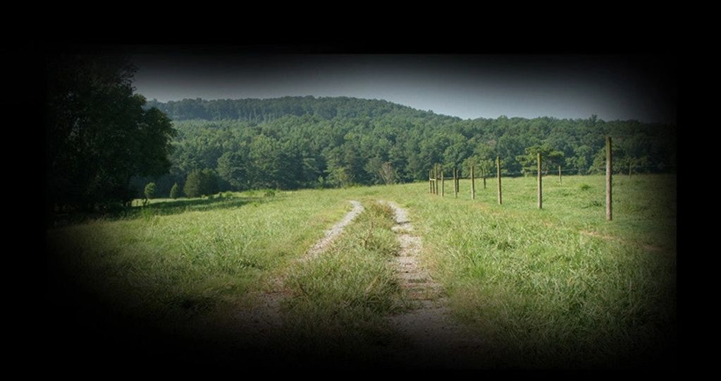 Country road cutting through a green field beside a fence.