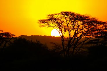 View of the sunset in Nairobi National Park, Kenya.