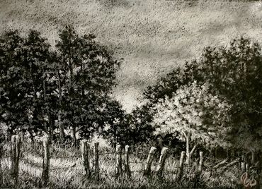 black and white landscape, pastel drawing on canon black paper