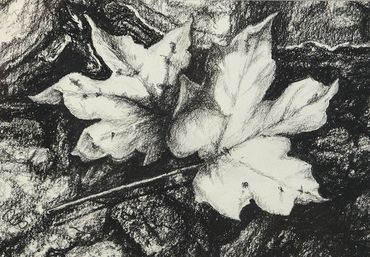 black and white drawing of leaves