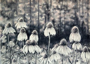 black and white landscape, pastel drawing of coneflowers
