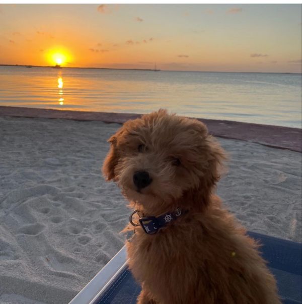 Baby Boaty catching a sunset