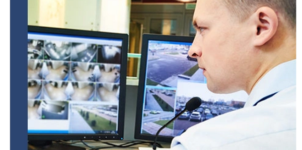 remote video monitoring and guarding