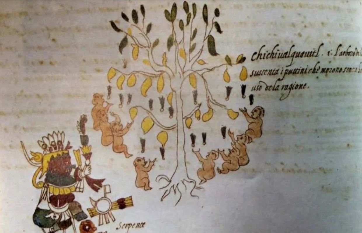 Ancient manuscript illustration of a tree with babies and a figure with traditional attire.