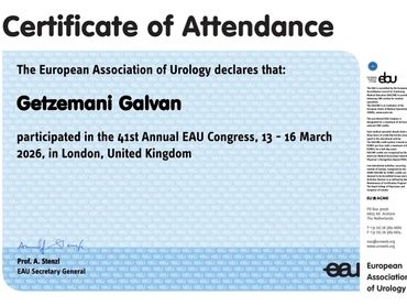 Certificado de asistencia al congreso europeo de urología