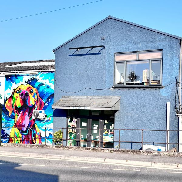 Colorful dog mural on a veterinary clinic building.